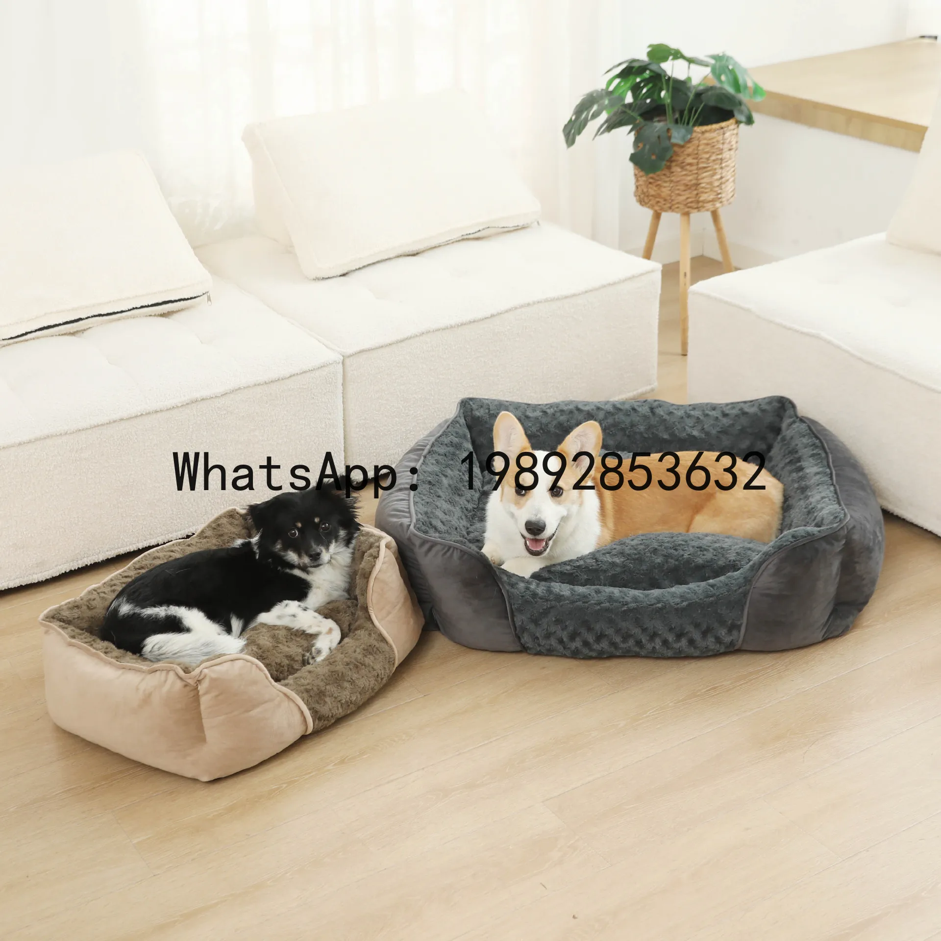 Pet X Supplies & Tack Photos - X kedi evi yarı kapalı köpek