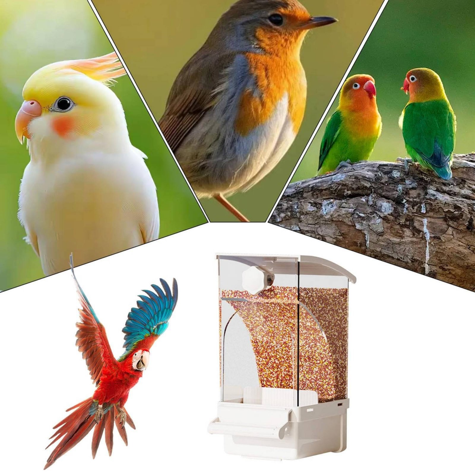 Automatic Pet Feeder - Otomatik Kuş Yemliği Kabuk Ayırıcı Dağınıklık