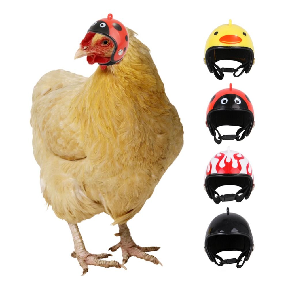 Pet X Supplies & Tack Photos - ABS Evcil Hayvan Malzemeleri Komik Evcil