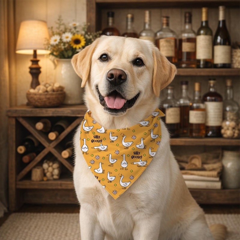 Dog Bandana Scarf - Sevimli Kaz Tasarımlı Köpek Bandanası, Evcil