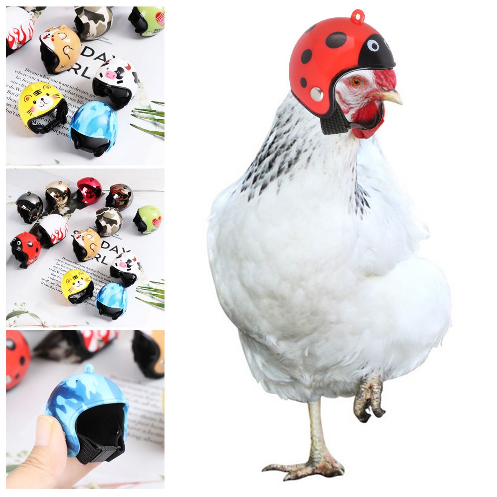 Pet X Supplies & Tack Photos - ABS Komik Evcil Hayvan Malzemeleri Evcil