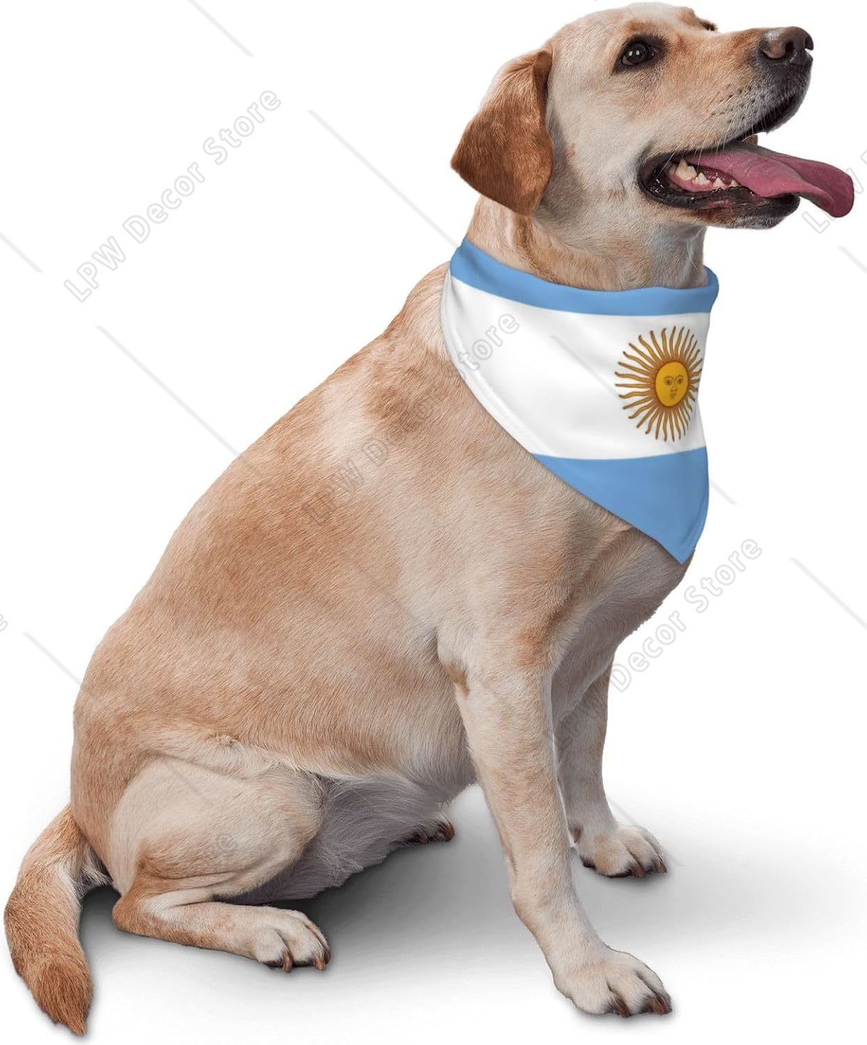 Arjantin Bayrağı Köpek Bandana - Dog Bandana Scarf incelemesi ve fiyatı