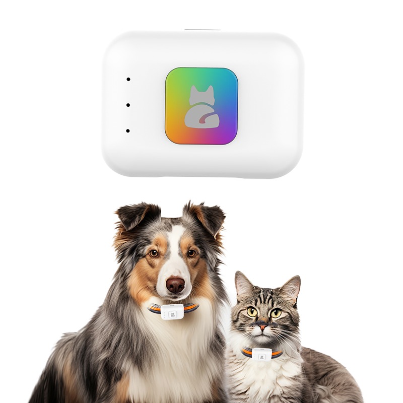 Evcil Hayvan GPS AGPS İzleme C - Pet Supplies Discount incelemesi ve fiyatı
