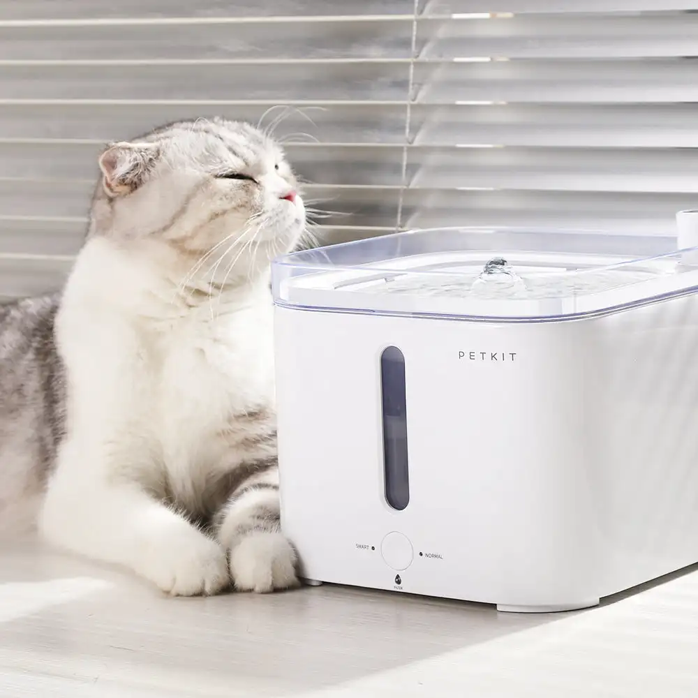 CANBOUN EVERSWEET Serisi Kablo - Automatic Pet Feeder incelemesi ve fiyatı
