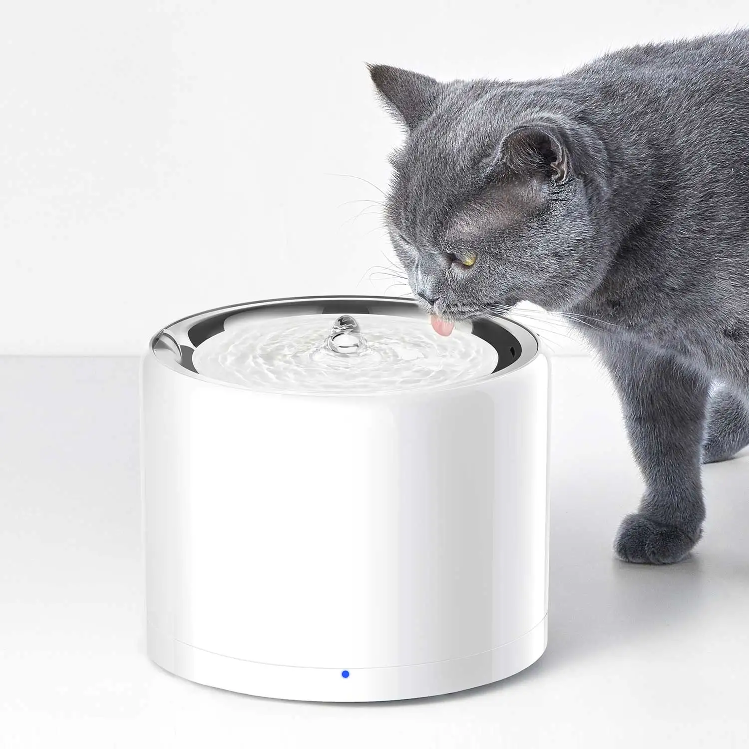 CANBOUN EVERSWEET Serisi Kablo - Automatic Pet Feeder incelemesi ve fiyatı