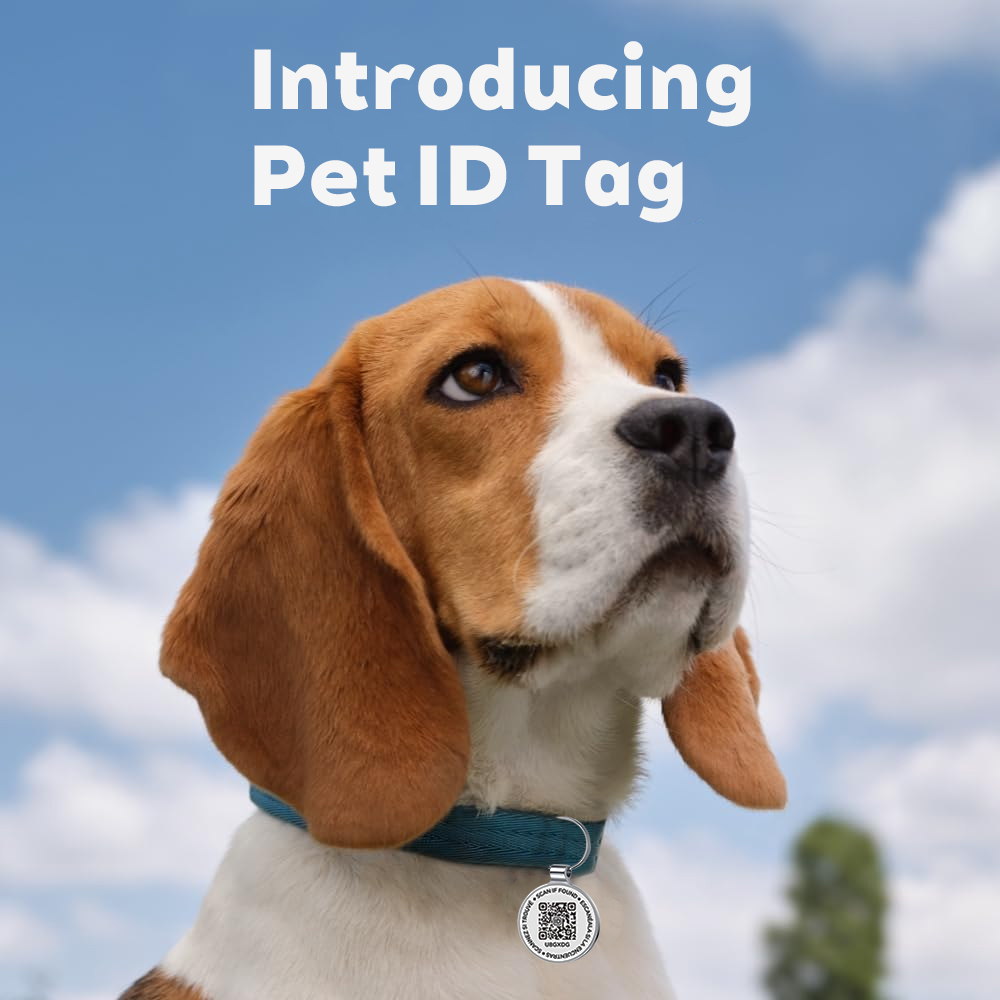 QR Kodlu Evcil Hayvan Etiketi, - Pet Supplies Online incelemesi ve fiyatı