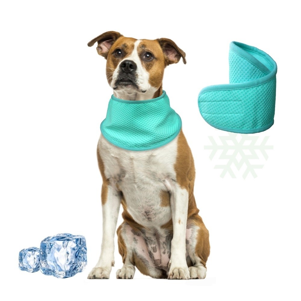 Yeni Ayarlanabilir Köpek Soğut - Dog Bandana Scarf incelemesi ve fiyatı