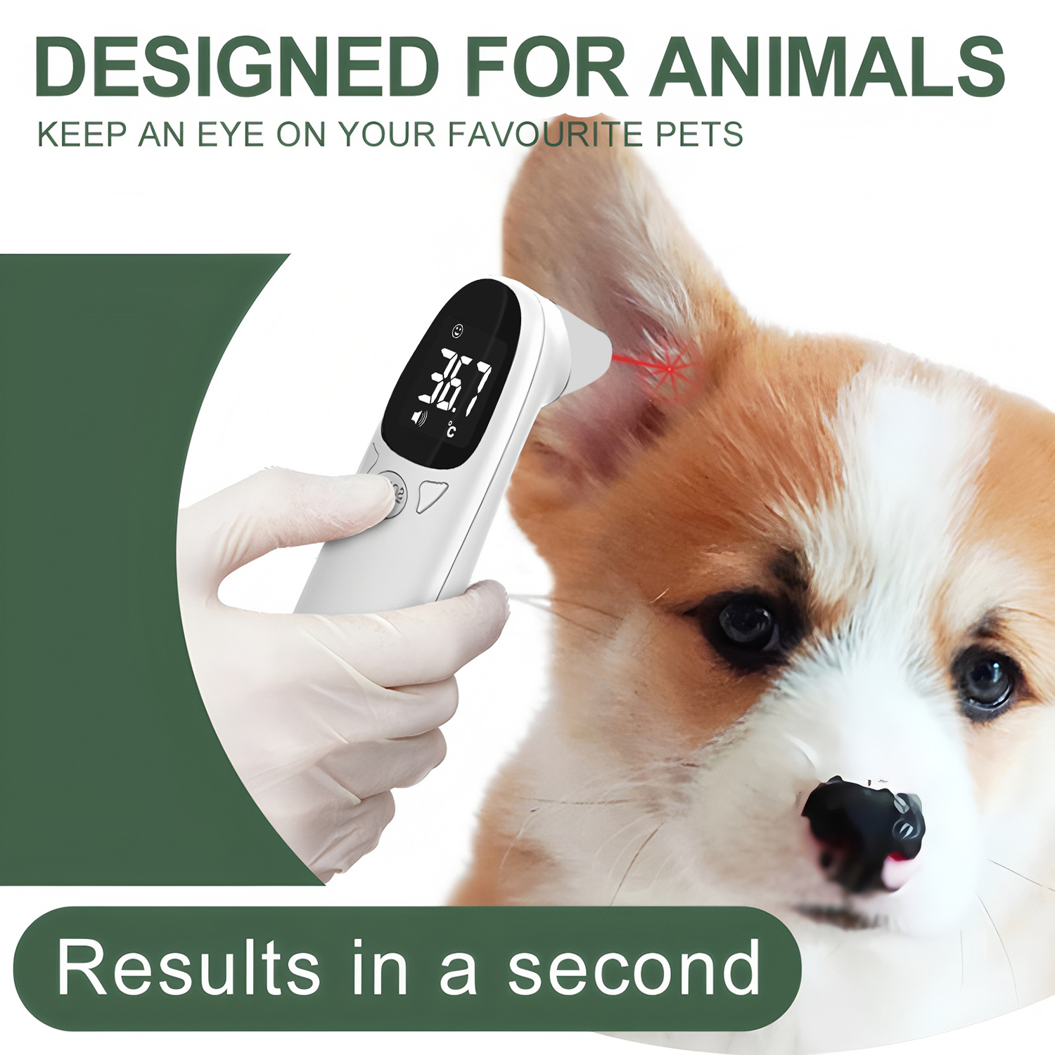 Evcil Hayvan Kulak Dijital Ter - Pet Supplies Discount incelemesi ve fiyatı