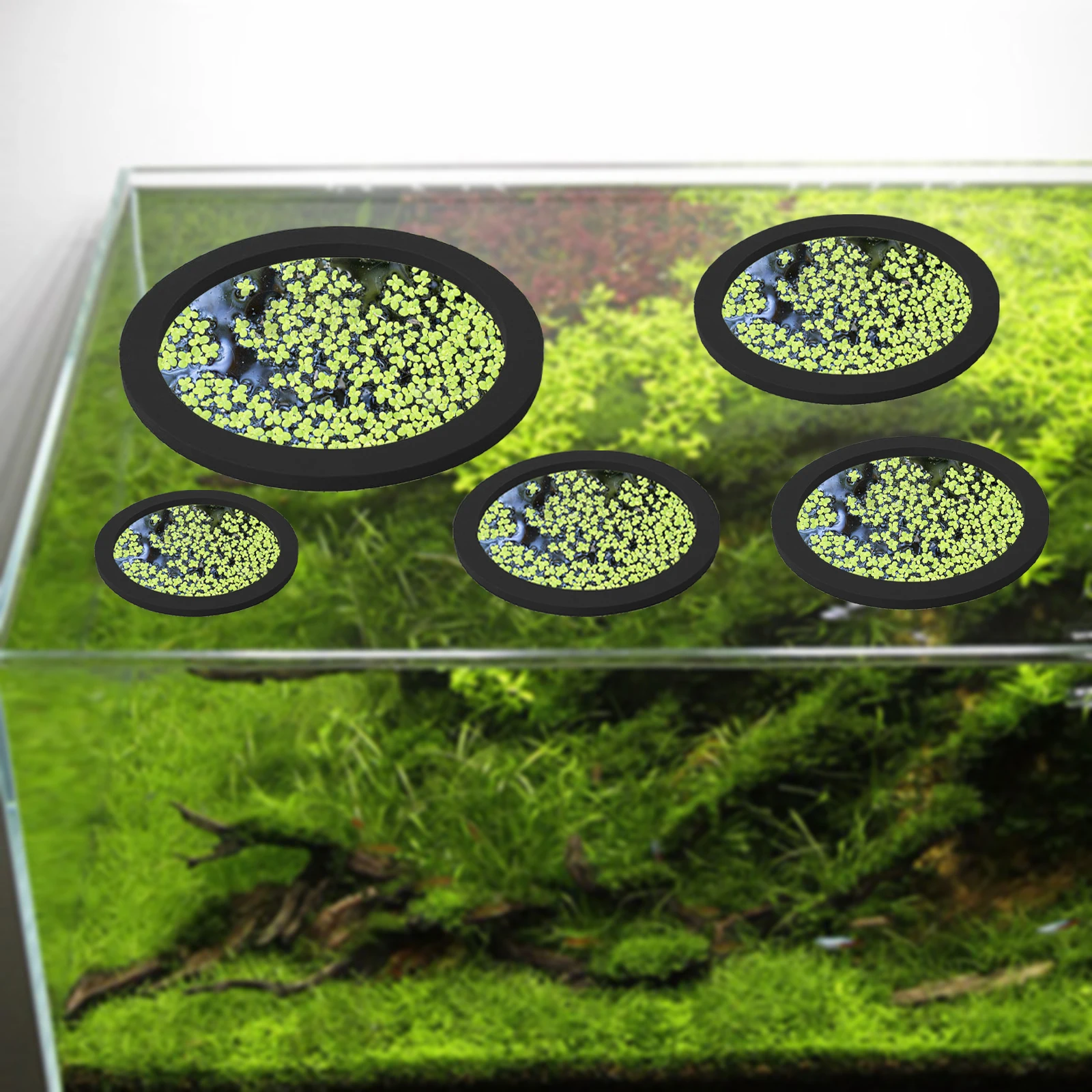 5 adet EVA balık besleme halka - Aquarium Fish Tank incelemesi ve fiyatı