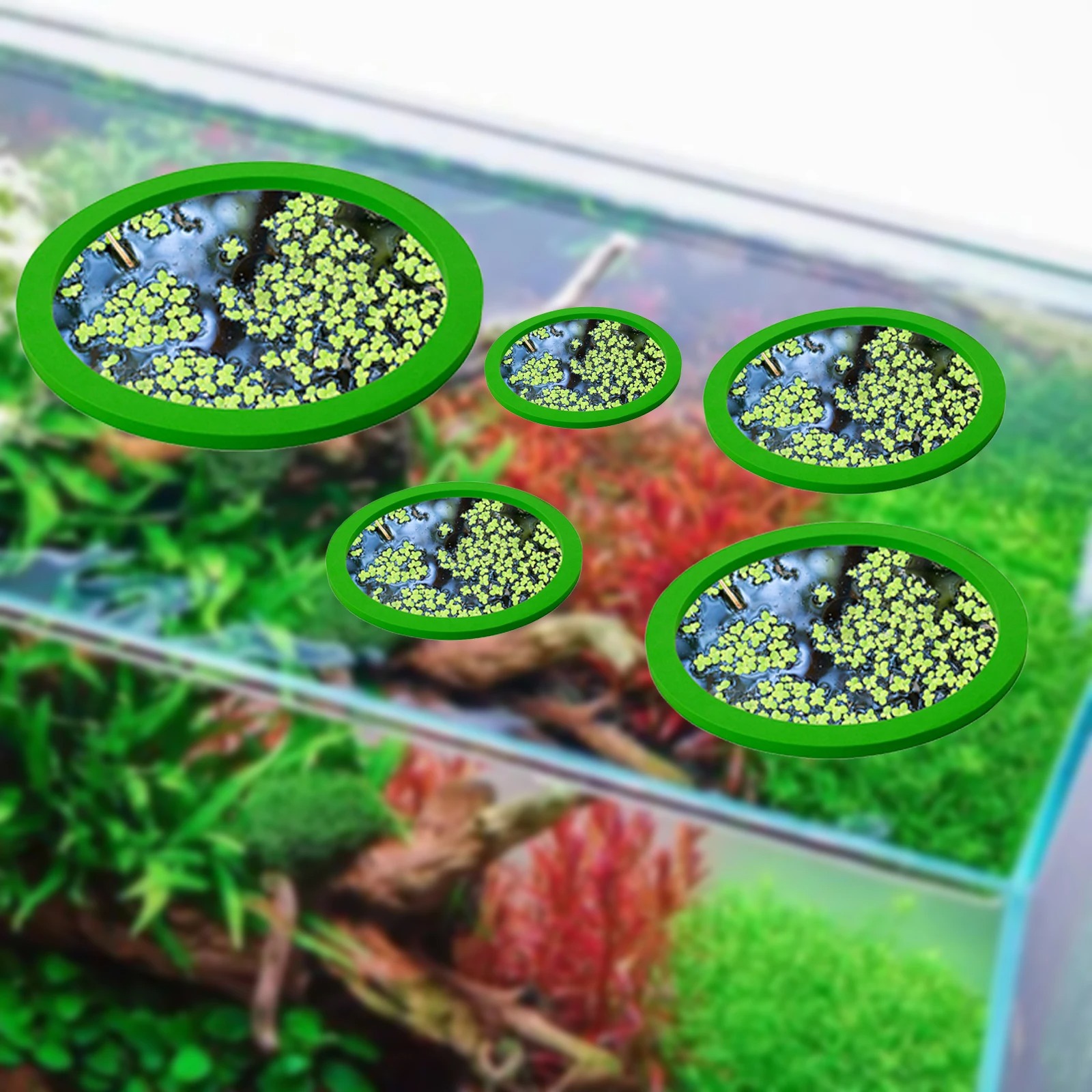 5 adet EVA balık besleme halka - Aquarium Fish Tank incelemesi ve fiyatı