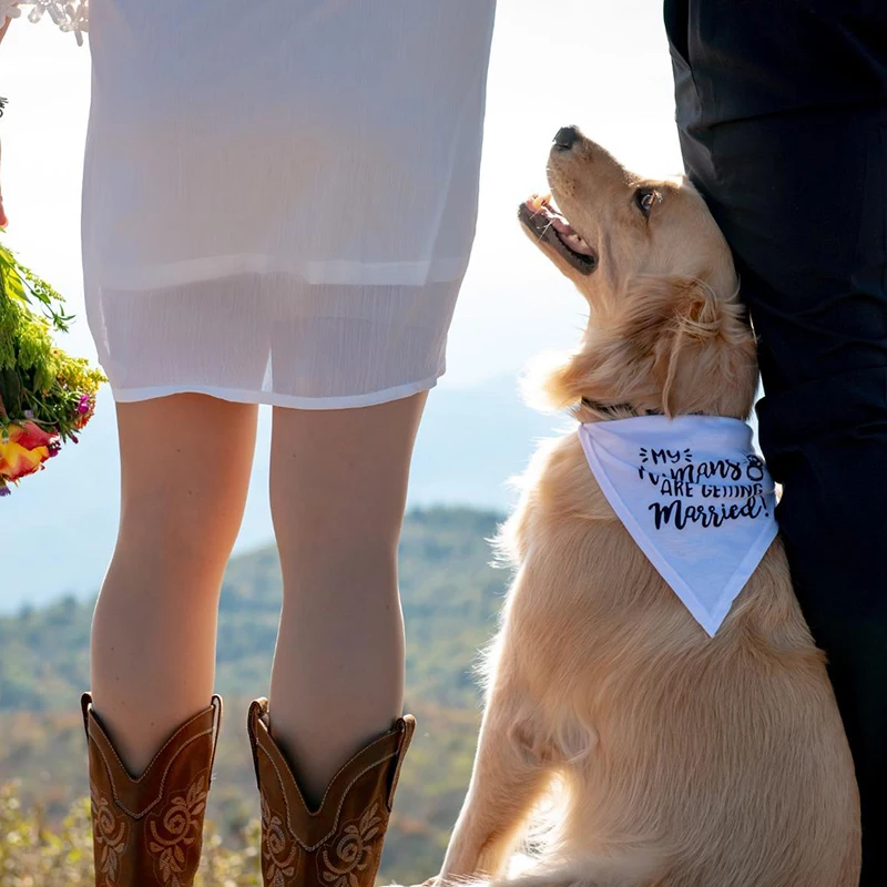 Benim insanlar evleniyoruz köp - Dog Bandana Scarf incelemesi ve fiyatı