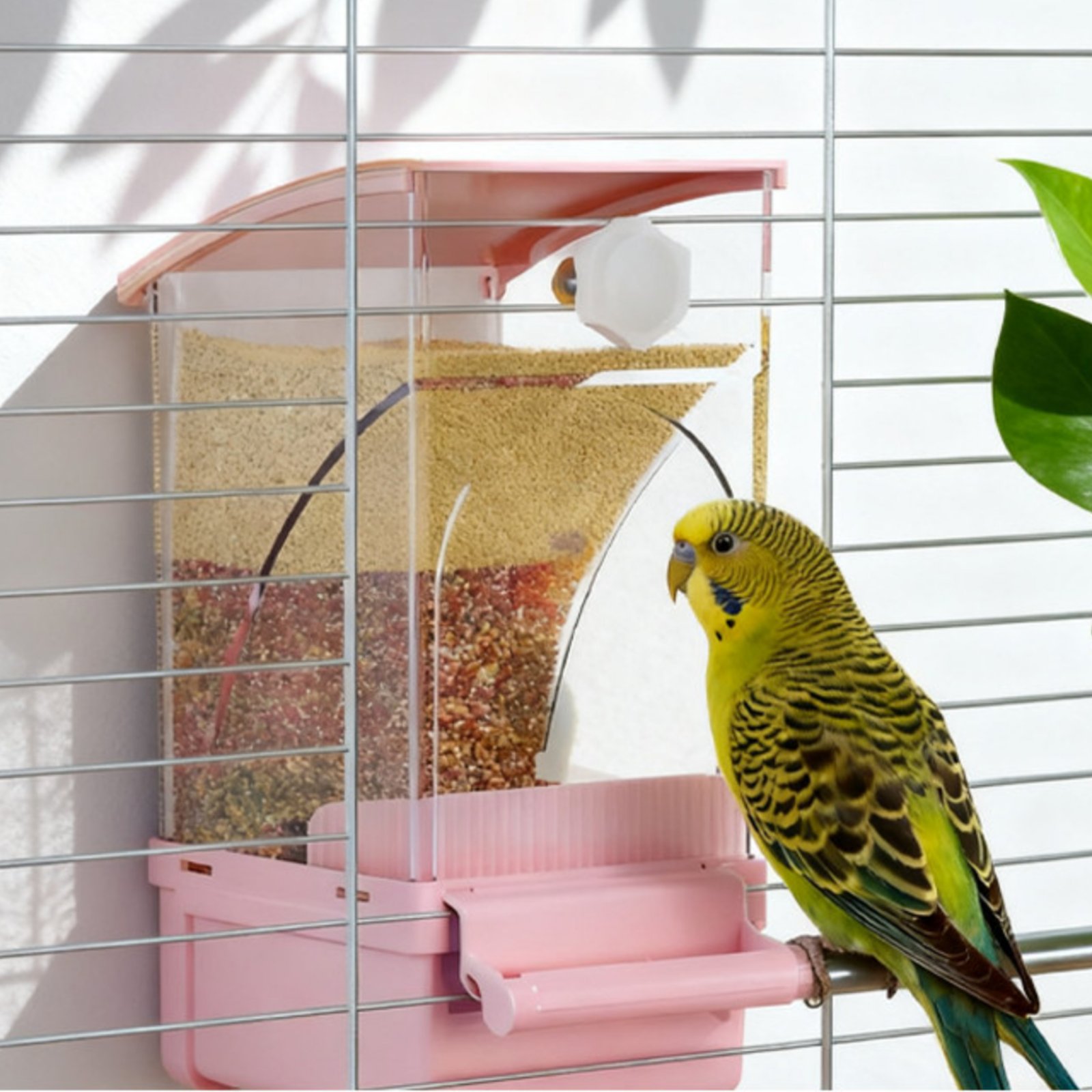Otomatik Kuş Yemliği Kabuk Ayı - Automatic Pet Feeder incelemesi ve fiyatı