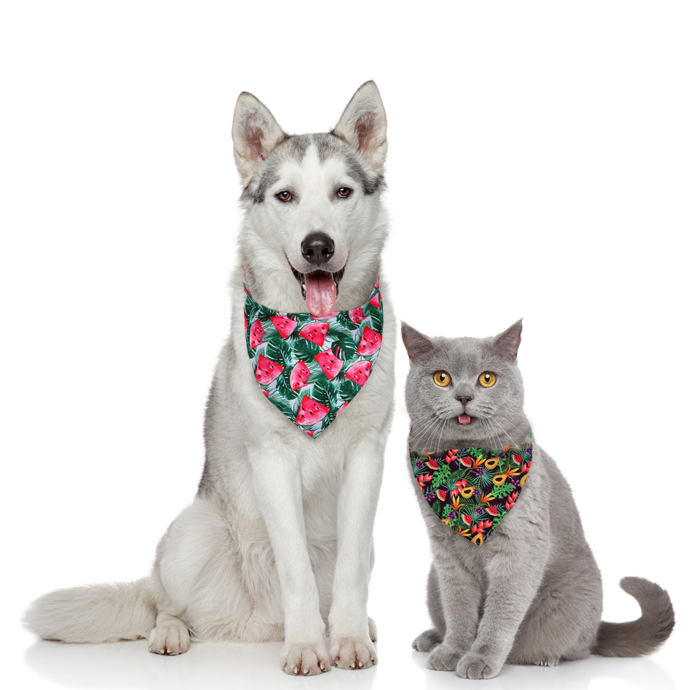 8 adet Köpek Bandana Meyve Tar - Dog Bandana Scarf incelemesi ve fiyatı