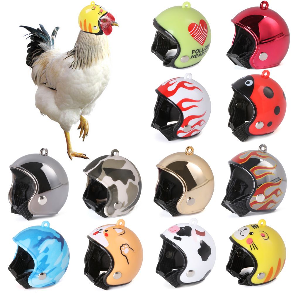 ABS Evcil Hayvan Malzemeleri K - Pet X Supplies & Tack Photos incelemesi ve fiyatı