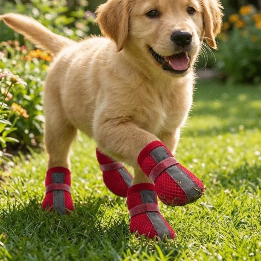 4 ADET/SET Dayanıklı Kaymaz Kö - Dog Booties Paw Protector incelemesi ve fiyatı