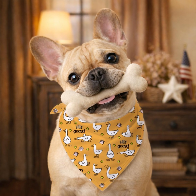 Sevimli Kaz Tasarımlı Köpek Ba - Dog Bandana Scarf incelemesi ve fiyatı