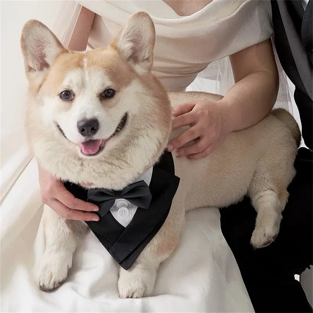 Orta ve büyük boy köpekler içi - Dog Bandana Scarf incelemesi ve fiyatı