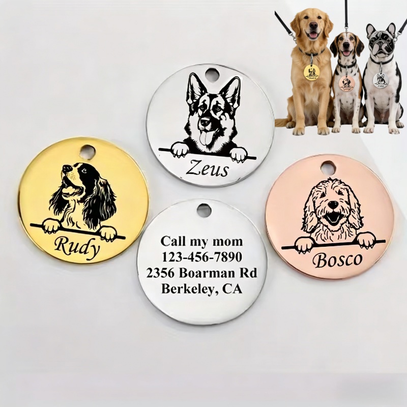 Özel Evcil Hayvan İsimli Köpek - Pet Supplies Discount incelemesi ve fiyatı