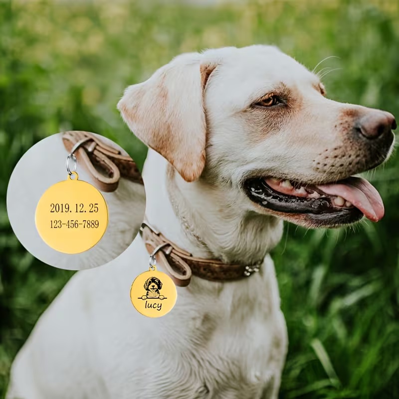 Özel Evcil Hayvan İsimli Köpek - Pet Supplies Discount incelemesi ve fiyatı