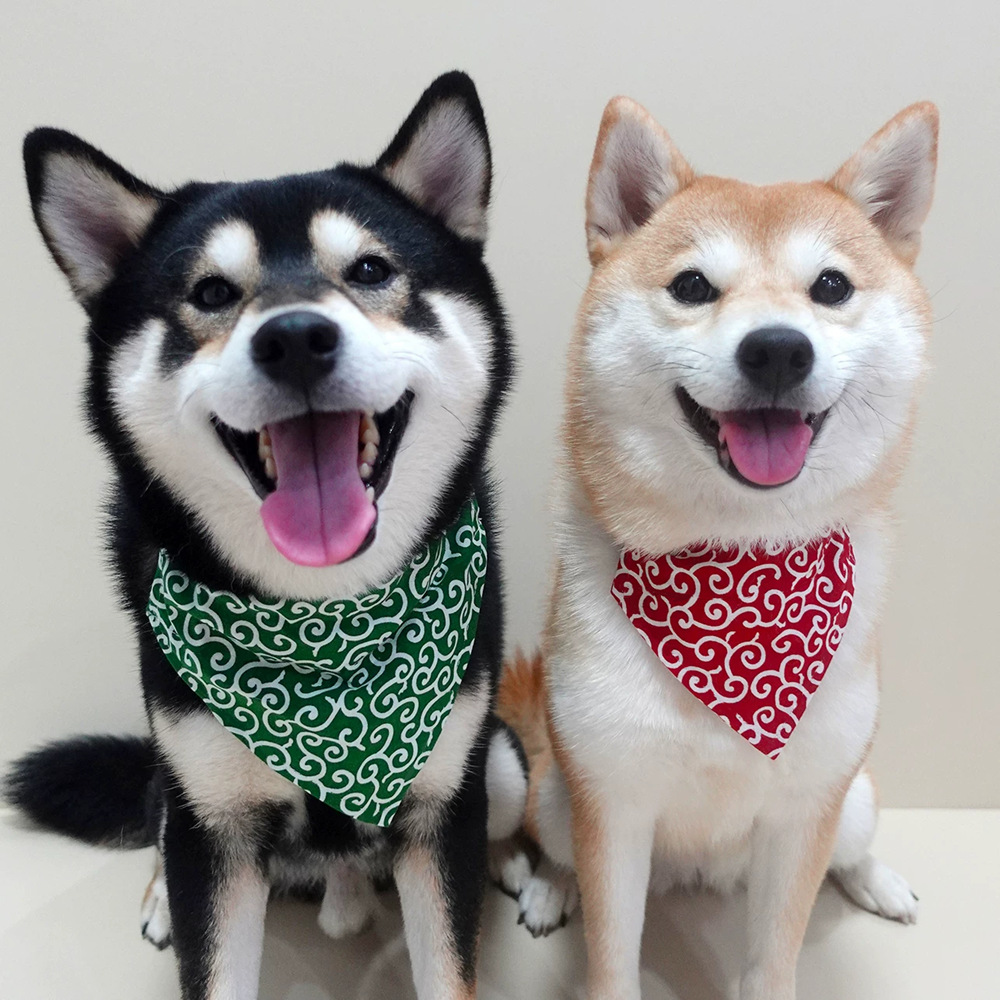 Köpek Aksesuarları YENI Pet Kö - Dog Bandana Scarf incelemesi ve fiyatı
