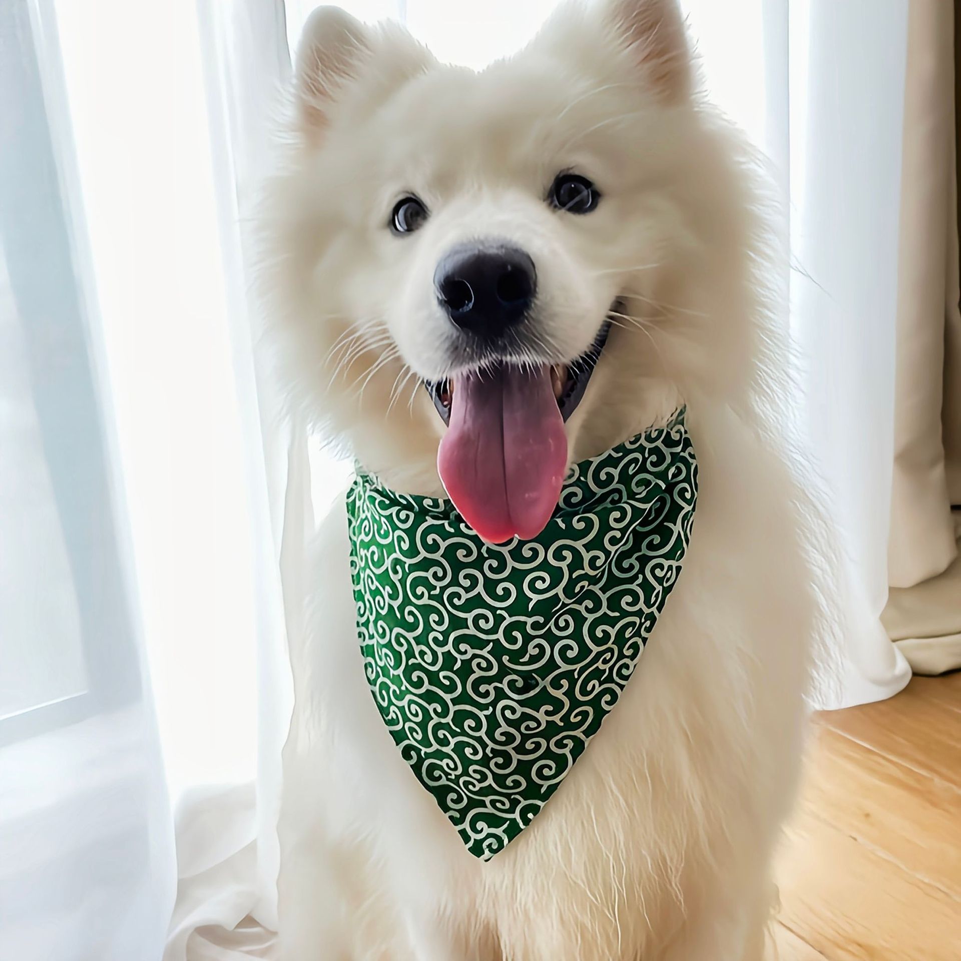 Köpek Aksesuarları YENI Pet Kö - Dog Bandana Scarf incelemesi ve fiyatı
